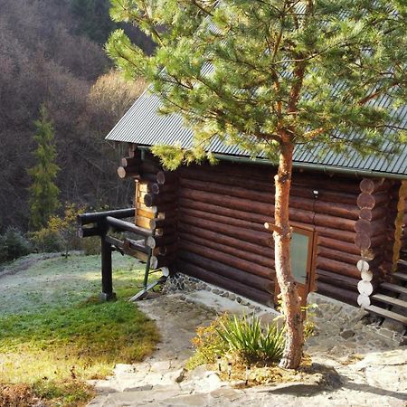 Bungalow In Mauntains With Chan Near The Forest Sławsko Zewnętrze zdjęcie